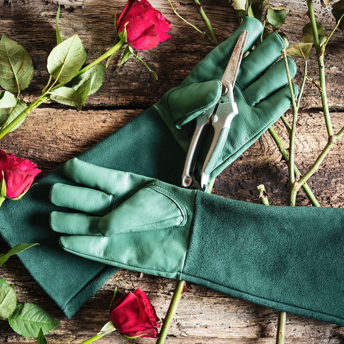 ACE Rose Garden Schutzhandschuhe - Gärtner-Arbeits-Handschuhe - dickes Leder gegen Rosen-Dornen