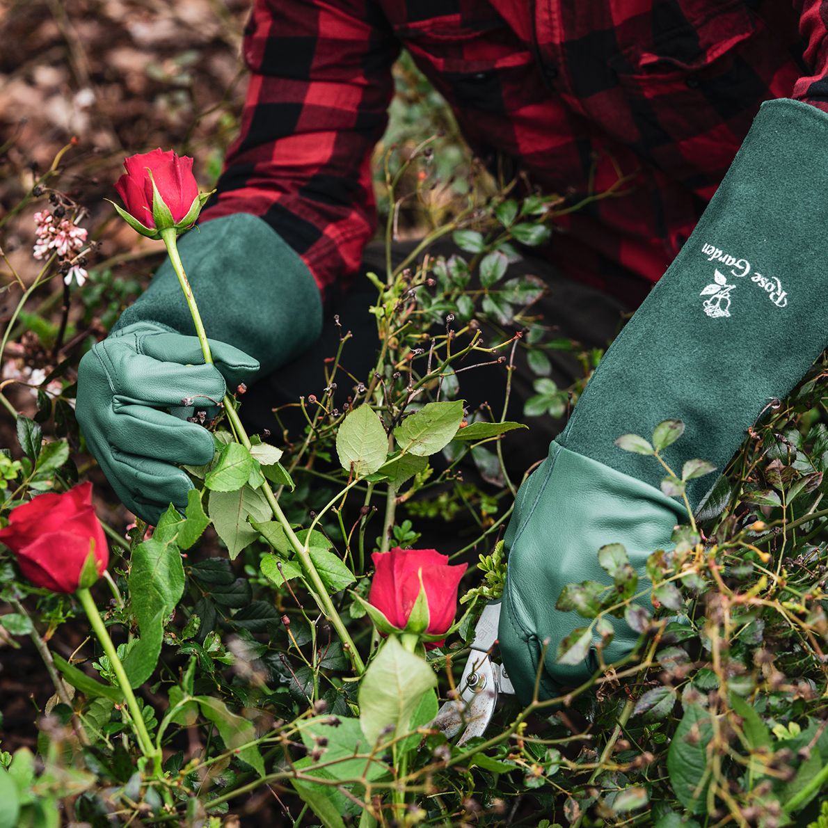 ACE Rose Garden Arbeitshandschuhe - extra-lange Garten-Handschuhe für die Arbeit - 09/L (1er Pack)