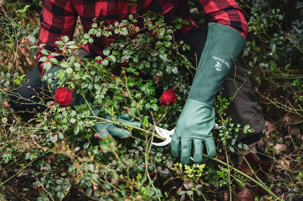 1 Paar ACE Rose Garden Leder-Gartenhandschuhe - Garten- & Rosenhandschuhe für Damen/Herren - Extra Lang - Grün