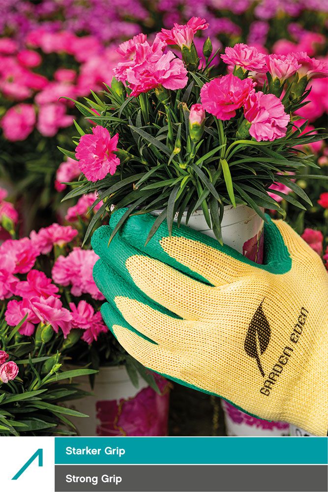 ACE Garden Eden 3 Pair of Protective Gloves - Gardener's Work Gloves - Dirt Resistant & Waterproof