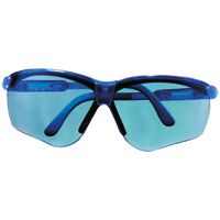 MSA Perspecta 010 Schutzbrille - kratz- & beschlagfest dank Sightgard-Beschichtung - EN 166/172 - Blau/Getönt