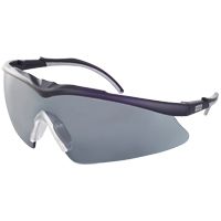 MSA TecTor Arbeits- & Militär-Schutzbrille - EN 166 & STANAG 2920/4296 - Schießbrille + Brillenbeutel - Getönt