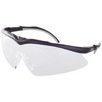 MSA TecTor Arbeits- & Militär-Schutzbrille - EN 166 & STANAG 2920/4296 - Schießbrille + Brillenbeutel